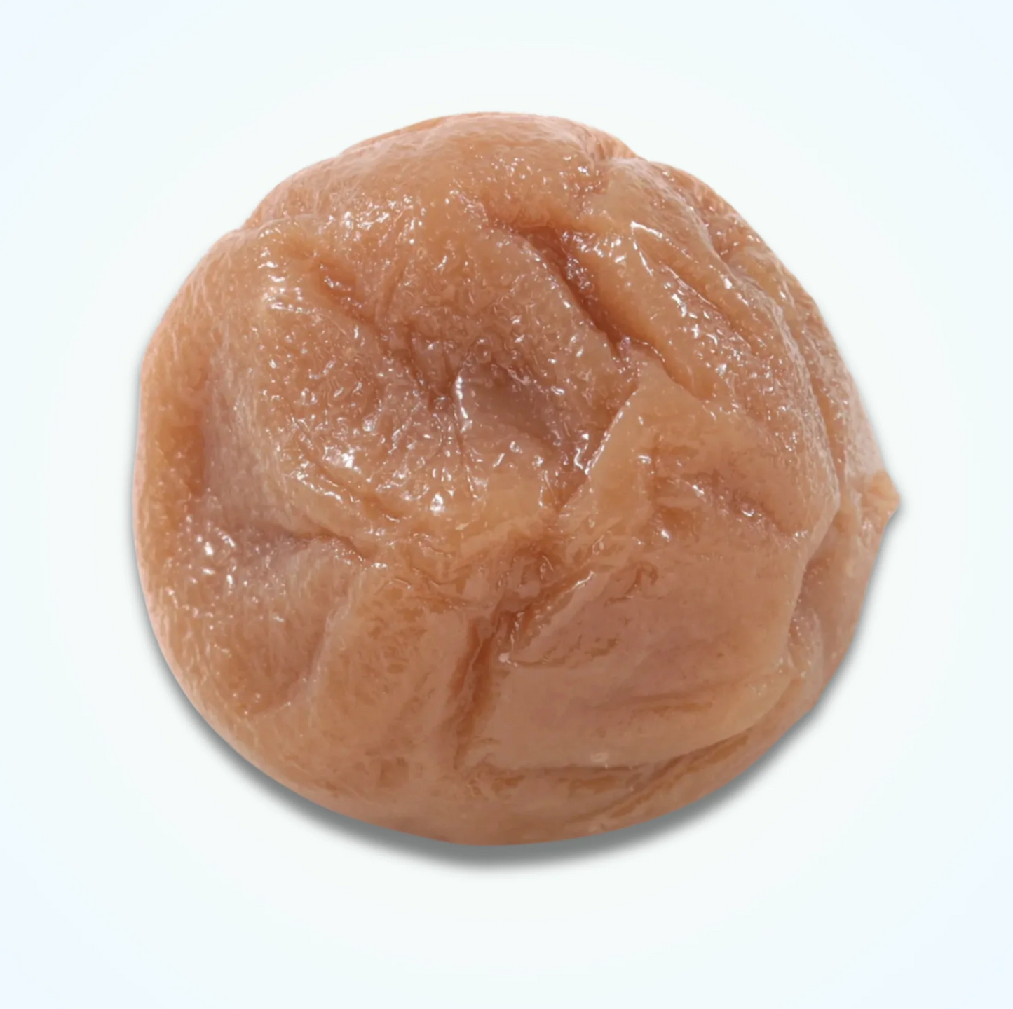 Food Sample Magnet - White Pickled Plum (Umeboshi),White Pickled Plum Umeboshi food sample magnet, classic look.