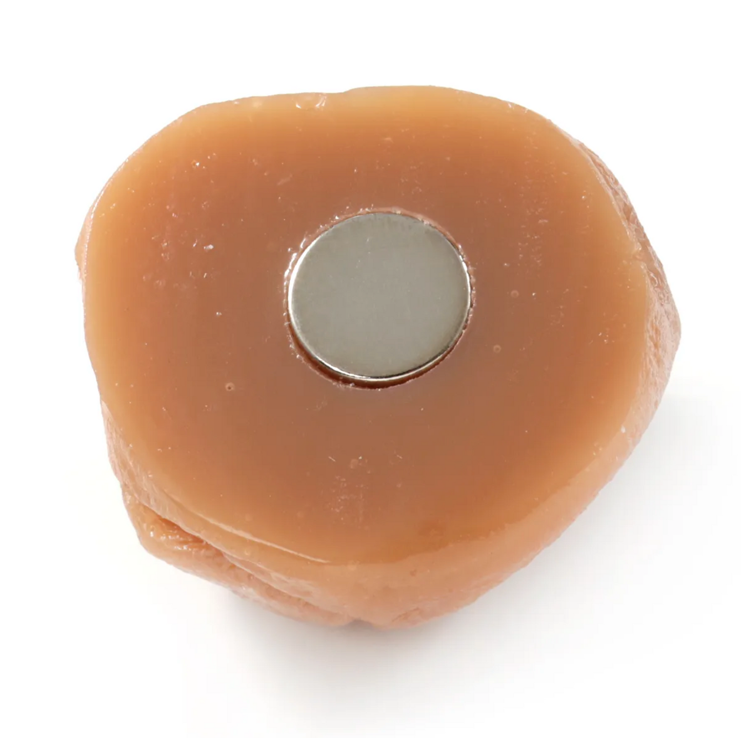 Food Sample Magnet - White Pickled Plum (Umeboshi)